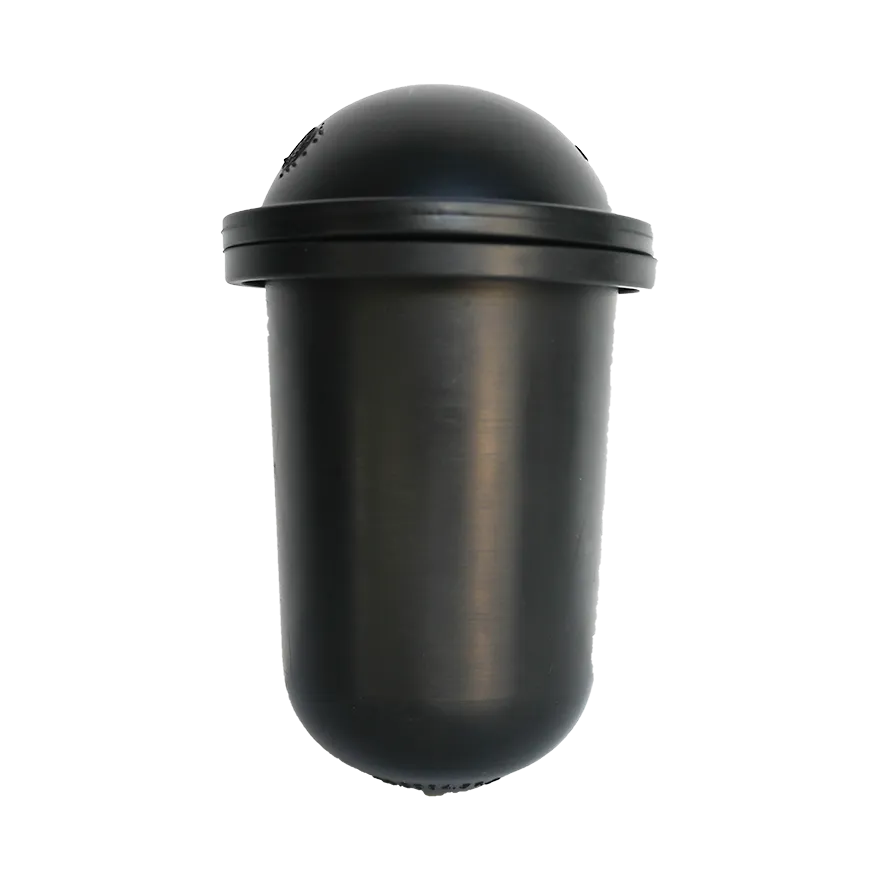 Pump PA730 Ballaster Diaphragm Set after 01/19