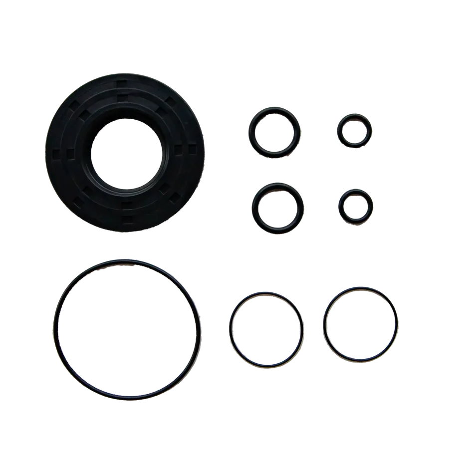 Pump Strip D4Q Valve Kit
